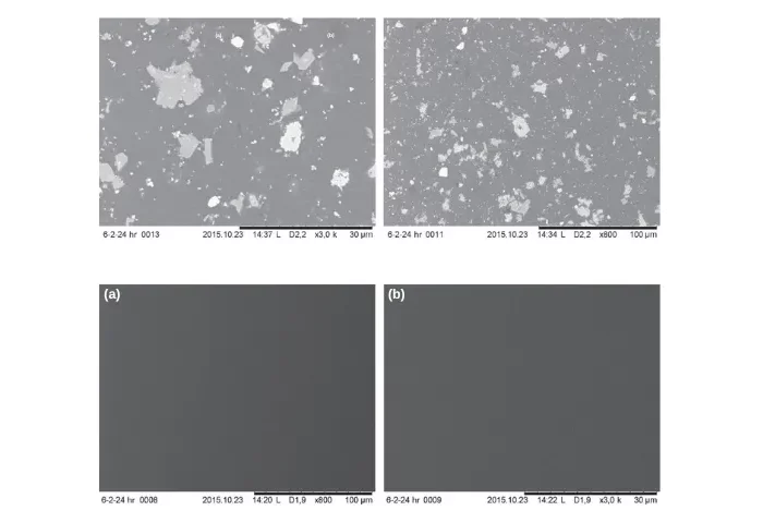 In vitro adherence of Candida albicans to zirconia surfaces – Lana Zupančić Čepić